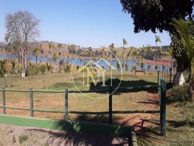 Fazenda, 12 hectares - Foto 4