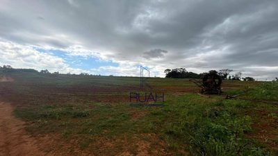 Terreno, 4 hectares - Foto 3