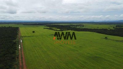 Fazenda, 4840 hectares - Foto 1