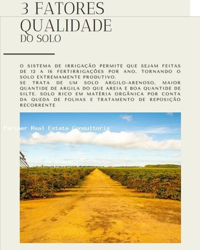 Fazenda, 10 quartos - Foto 5