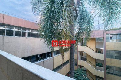 Apartamento, 3 quartos, 58 m² - Foto 2