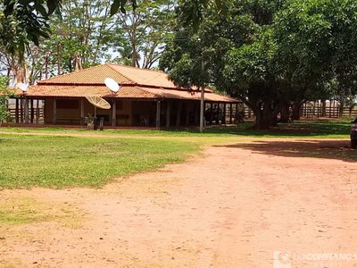 Fazenda - Foto 1