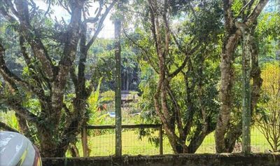 Sítio, 45 hectares - Foto 4