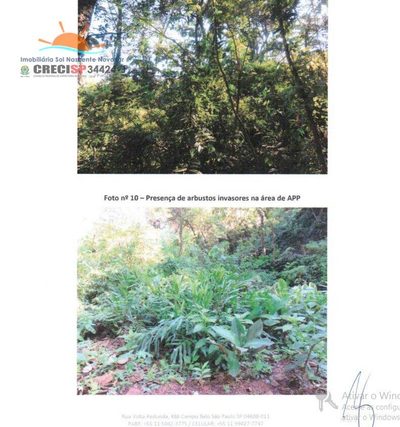 Terreno, 5800 m² - Foto 5