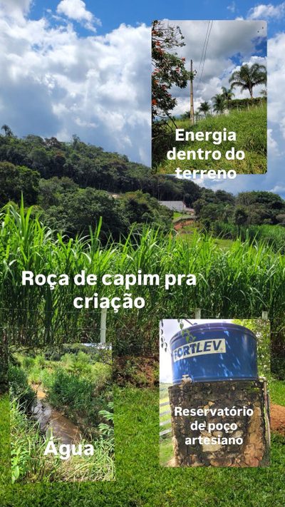 Chácara, 3 quartos - Foto 5