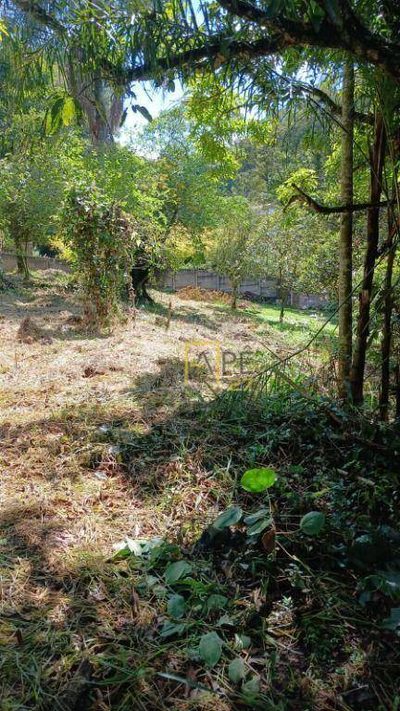 Terreno, 2516 m² - Foto 5