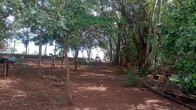 Fazenda, 3 quartos - Foto 3