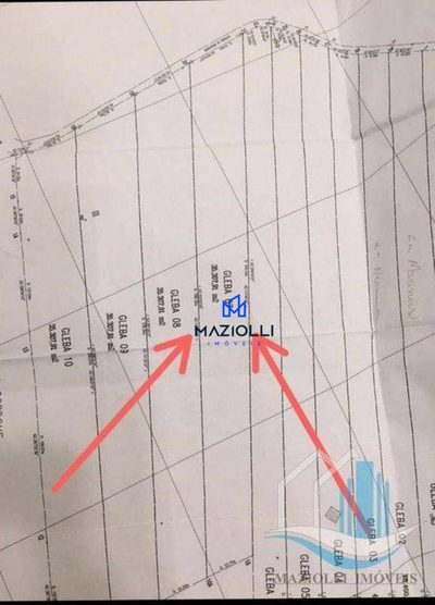 Terreno, 4 hectares - Foto 2