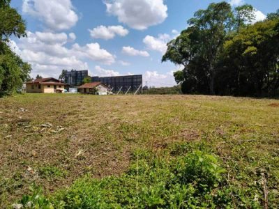 Terreno, 3 hectares - Foto 1