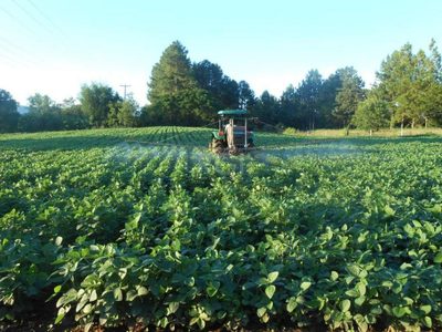 Terreno, 7 hectares - Foto 5