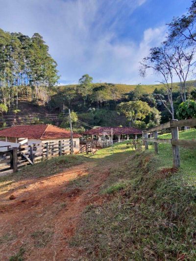 Fazenda, 131 hectares - Foto 2