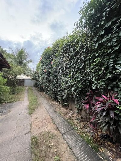 Casa, 4 quartos - Foto 2