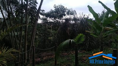 Terreno, 8462 m² - Foto 3