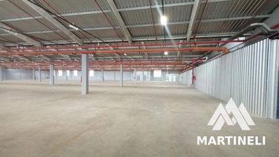 Depósito-Galpão, 6000 m² - Foto 3