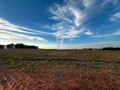 Terreno, 2 hectares - Foto 2