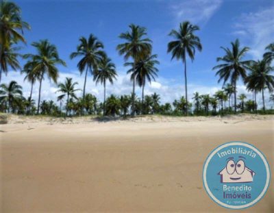 Terreno, 7 hectares - Foto 4