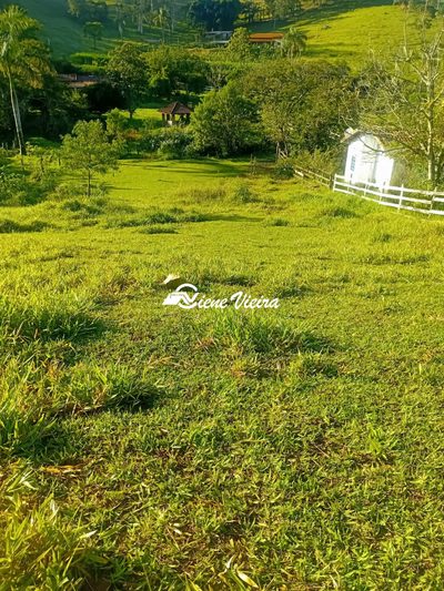 Chácara, 2 quartos, 2 hectares - Foto 3