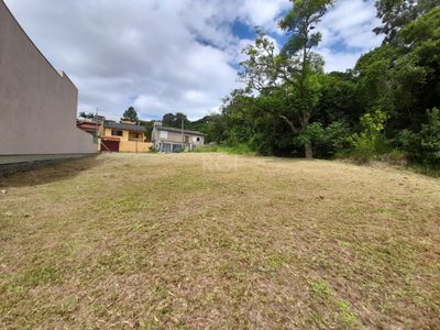 Terreno, 290 m² - Foto 1