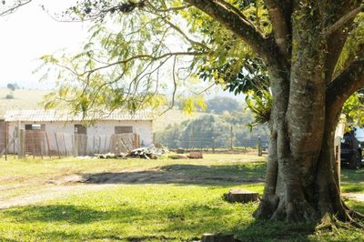 Sítio, 3 quartos, 5999 m² - Foto 4