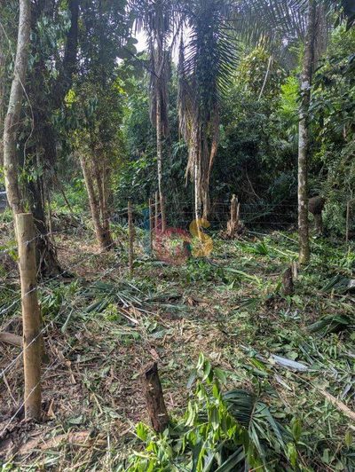Terreno, 600 m² - Foto 4