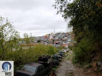 Terreno, 30 hectares - Foto 3