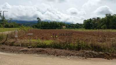 Terreno, 4 hectares - Foto 4