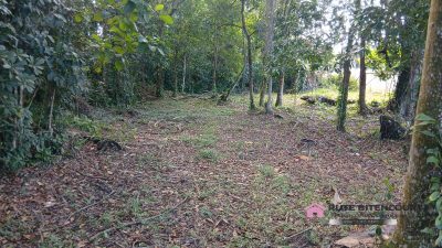 Terreno - Foto 4