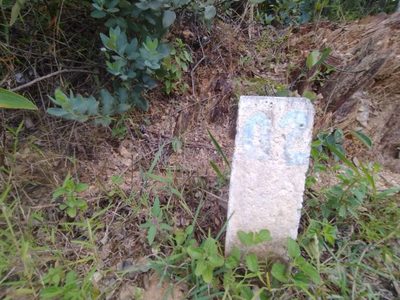 Terreno - Foto 5
