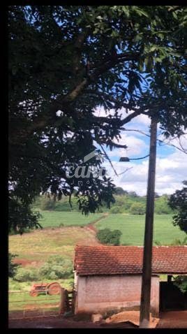 Sítio, 5 m² - Foto 4