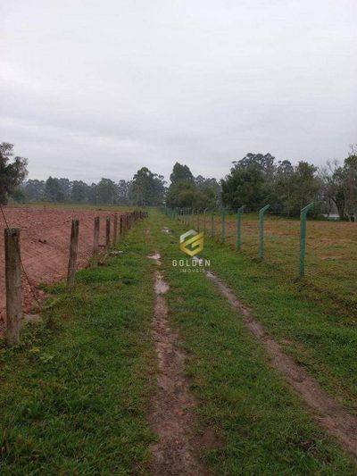 Terreno, 334 hectares - Foto 2