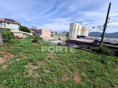 Terreno, 250 m² - Foto 2