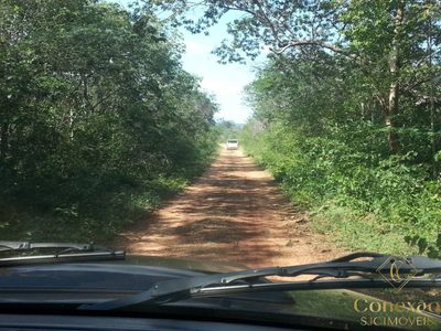 Fazenda, 176000 hectares - Foto 4