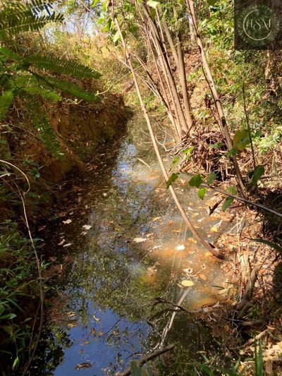 Terreno, 2 hectares - Foto 2