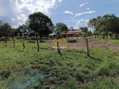 Chácara, 1 quarto - Foto 4