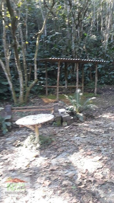 Terreno, 12 hectares - Foto 1