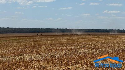Terreno, 3254 hectares - Foto 4