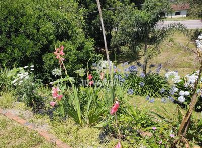 Sítio, 3 quartos, 5000 m² - Foto 2