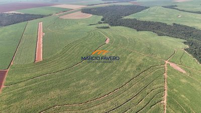 Fazenda, 399 hectares - Foto 1