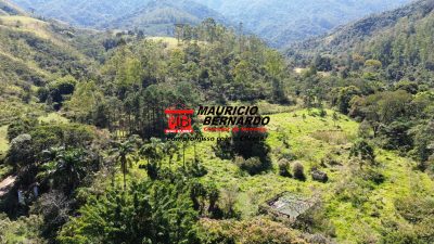 Terreno, 19 hectares - Foto 3