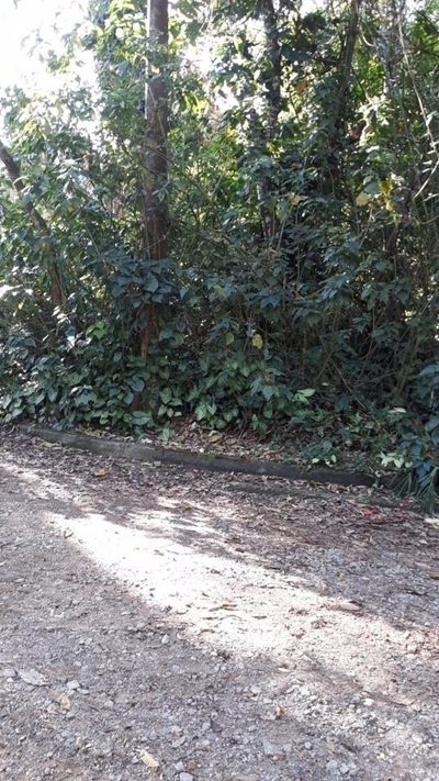 Terreno, 2800 m² - Foto 5