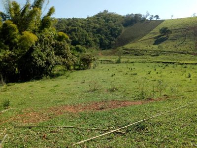 Terreno, 45 hectares - Foto 2