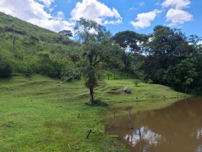 Terreno, 2 hectares - Foto 4