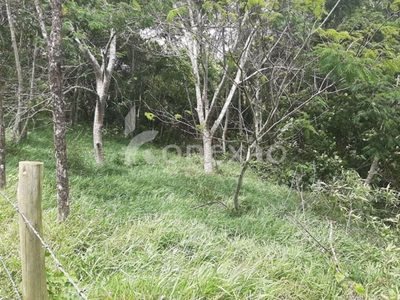 Terreno, 500 m² - Foto 5