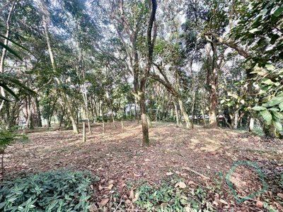 Loteamento e Condomínio, 1472 m² - Foto 4