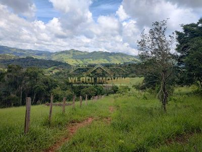 Terreno, 3 hectares - Foto 2