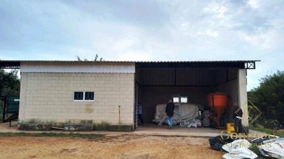 Fazenda, 257 hectares - Foto 4