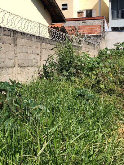 Terreno, 125 m² - Foto 1