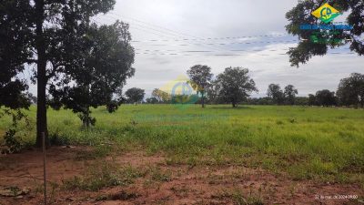 Chácara, 2 quartos - Foto 5