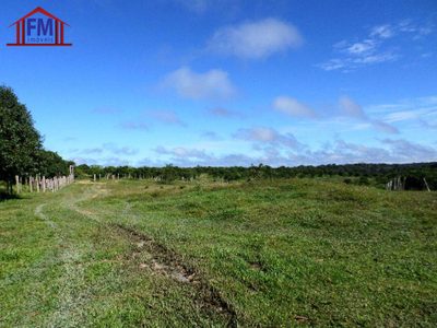 Fazenda - Foto 4