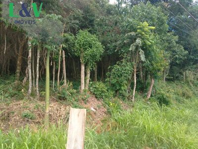 Terreno, 1000 m² - Foto 3